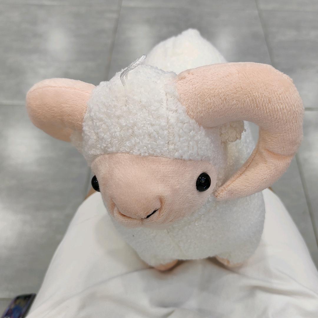 🐏团团