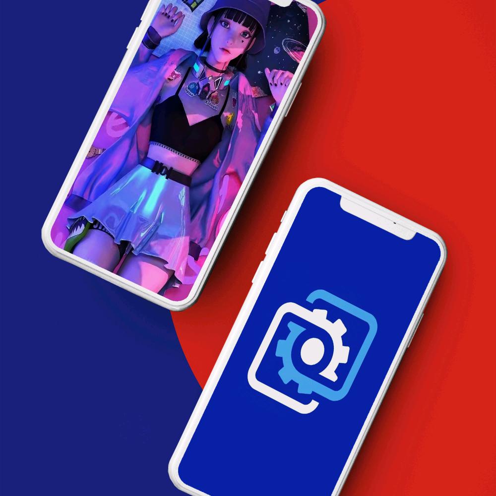 壁纸菌