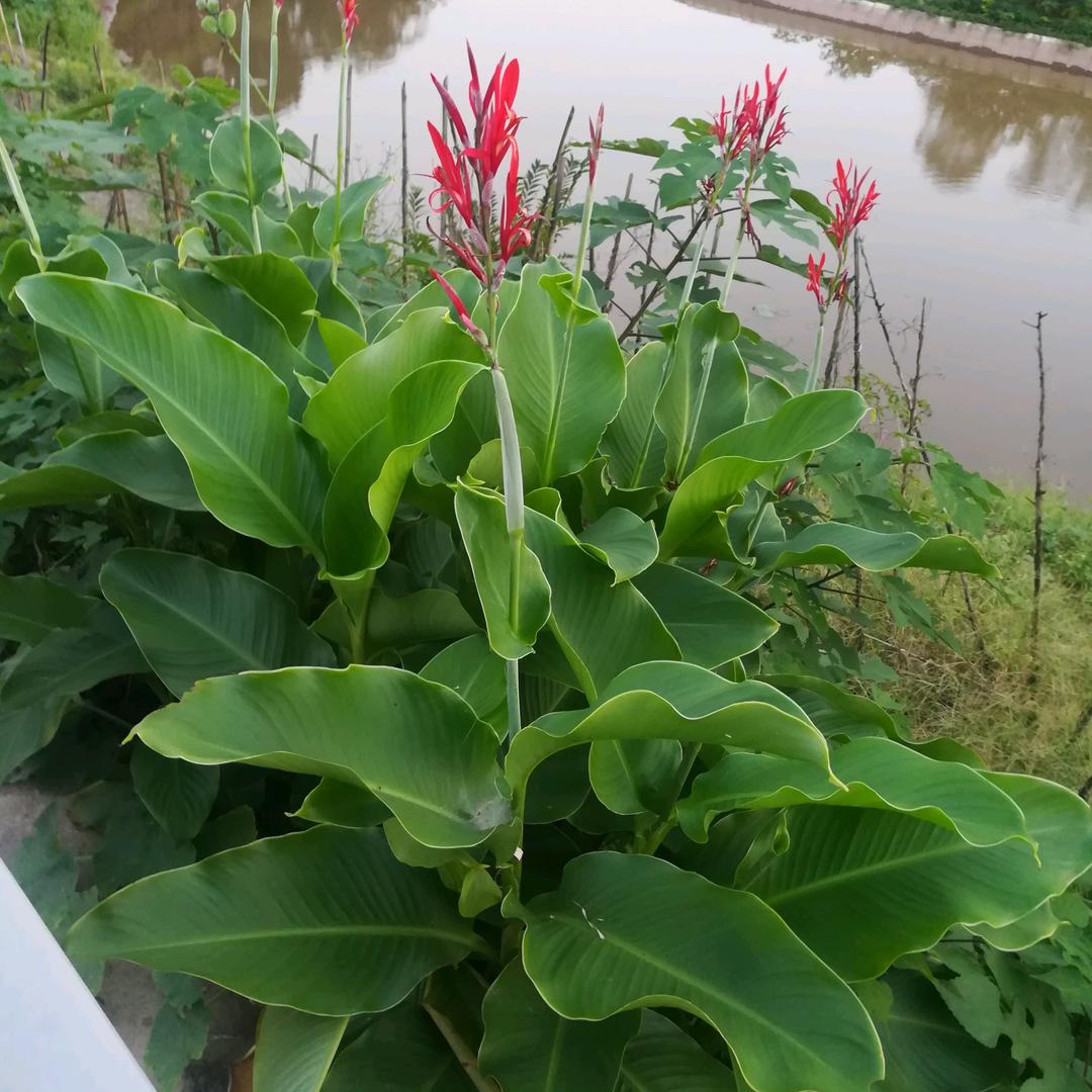 顺其自然