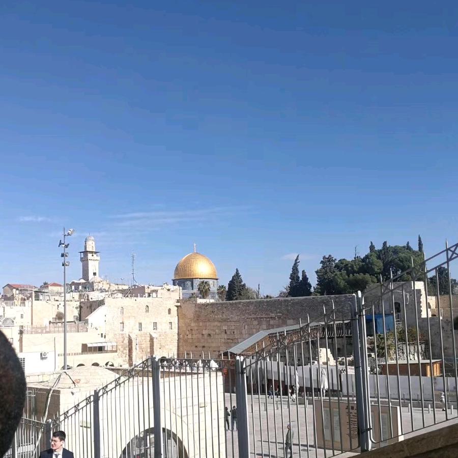 运气往往青睐喜欢冒险之人