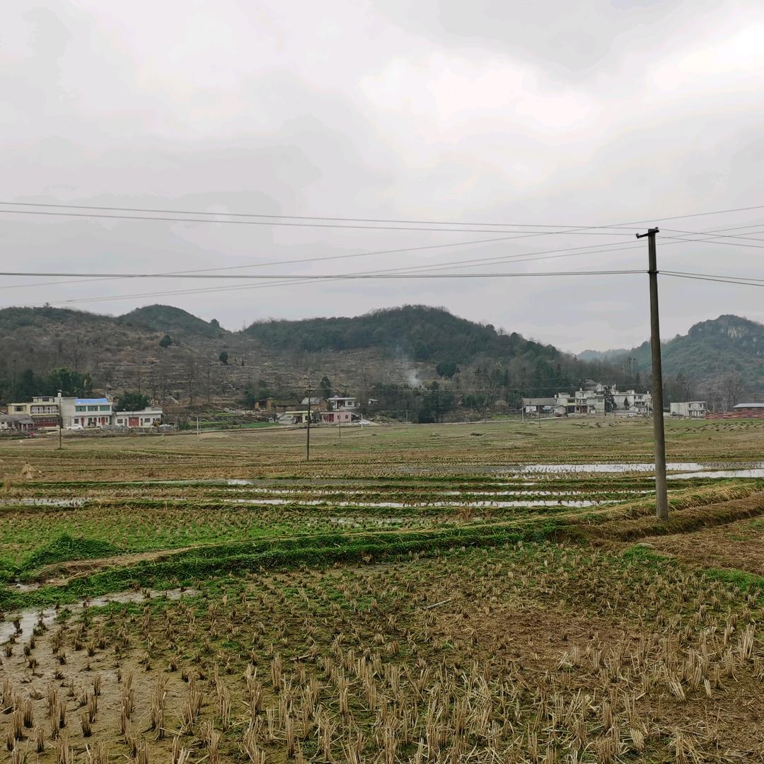 心态要好，顺其自然