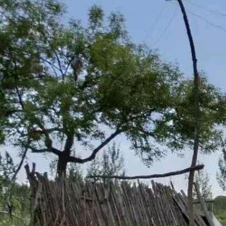 蓝天白云青山绿水