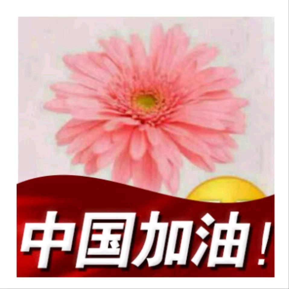 A。。。苗大莹。％。