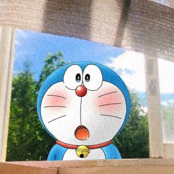 猪猪侠🐷