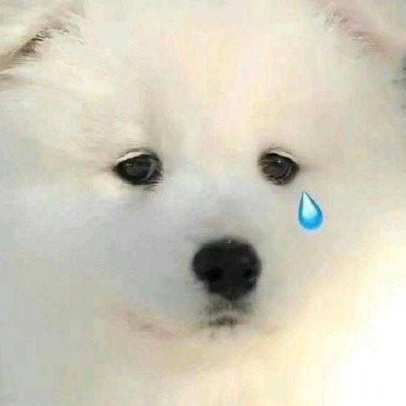 被坏女人偷了四只鸡