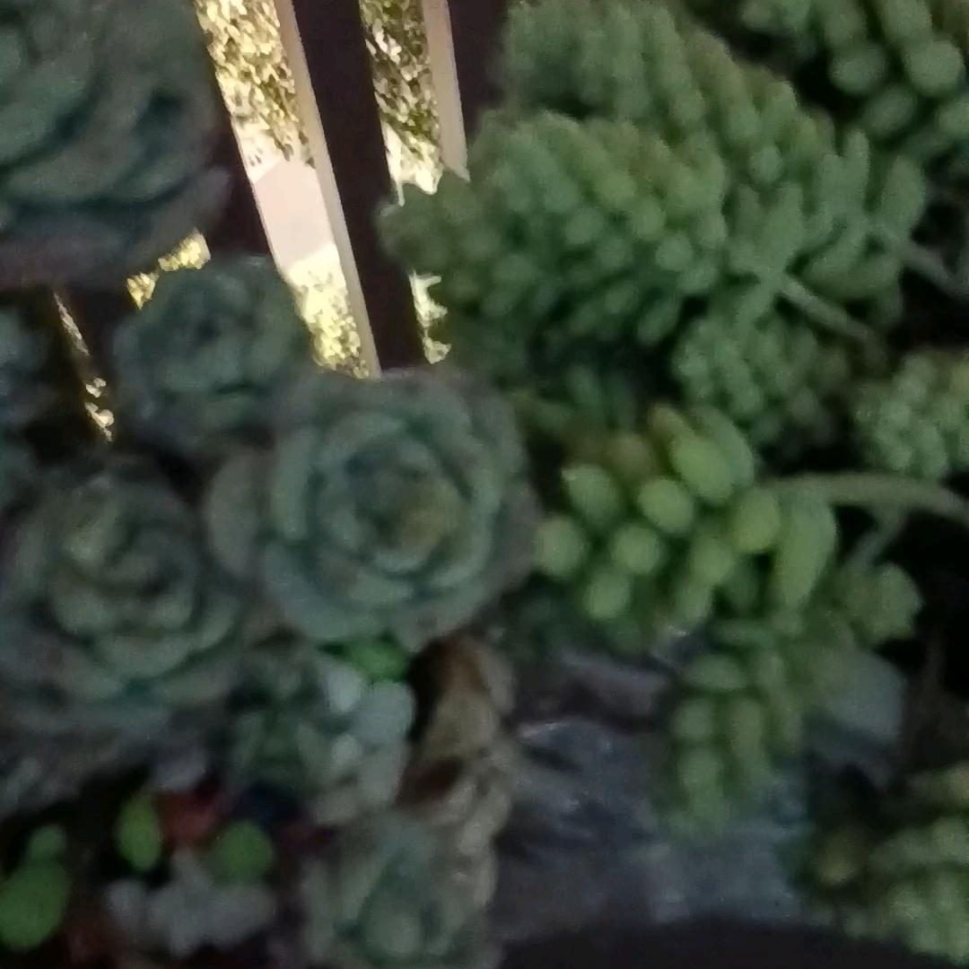 开心一笑