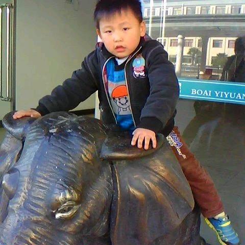 快乐一生丁
