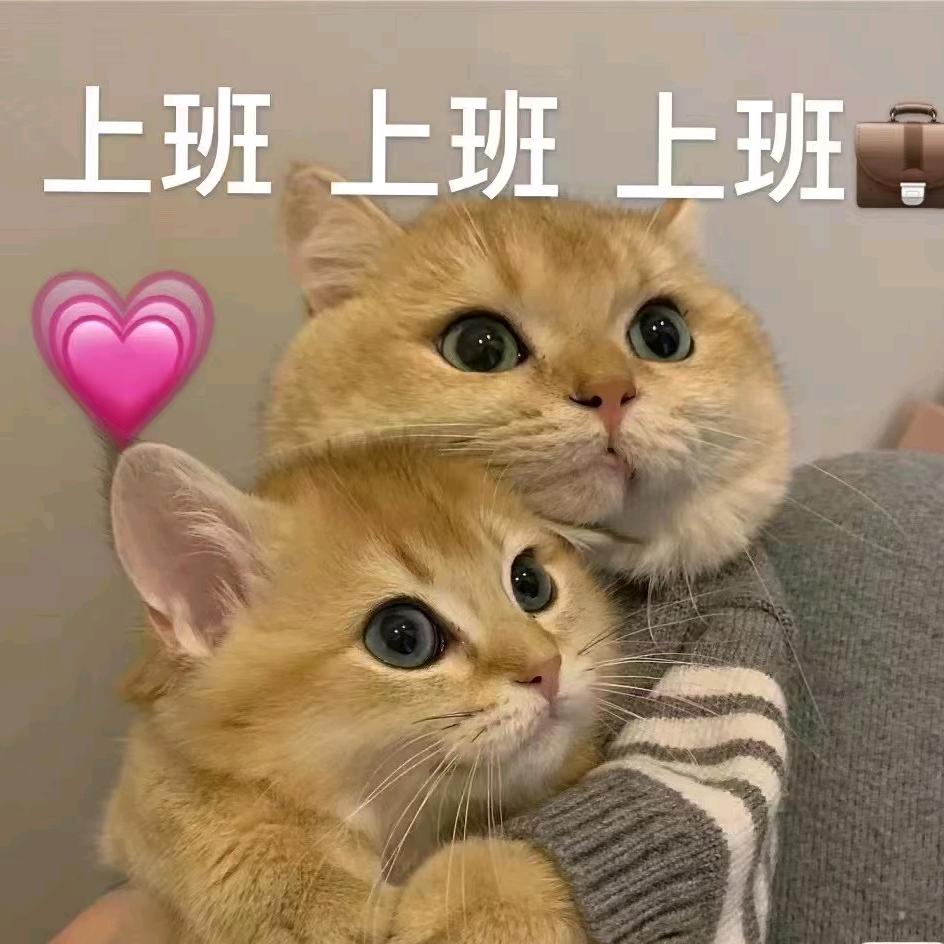 老洪