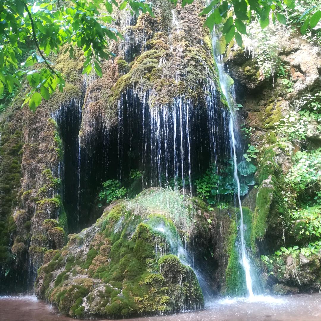 f幸福一家