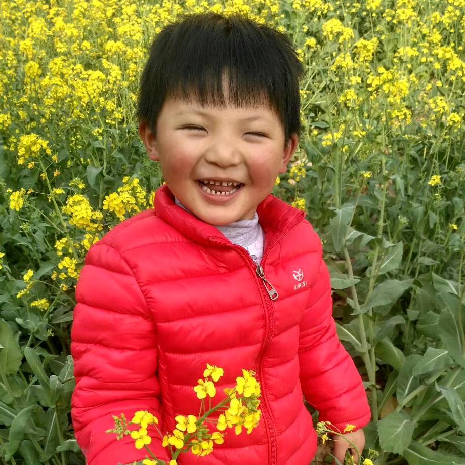 🍒🍒追梦💚❤️💐❤️的蝴蝶🌷