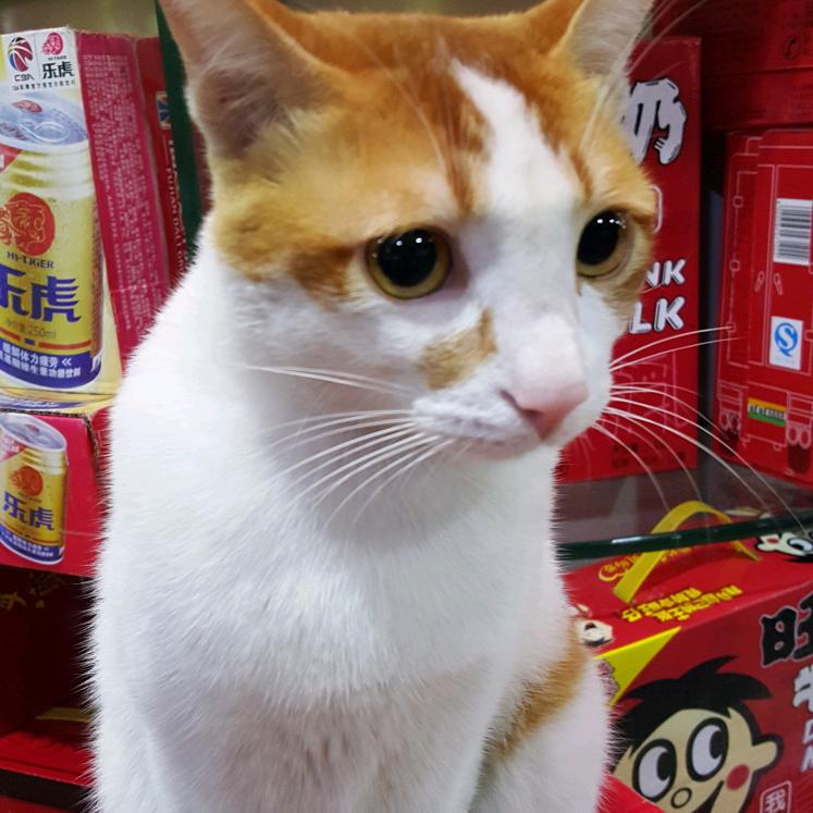 特效小威