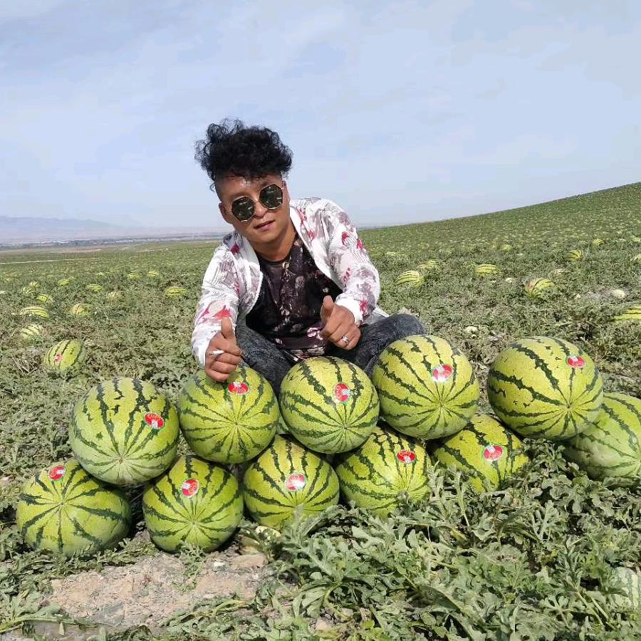 黑黑瓜果