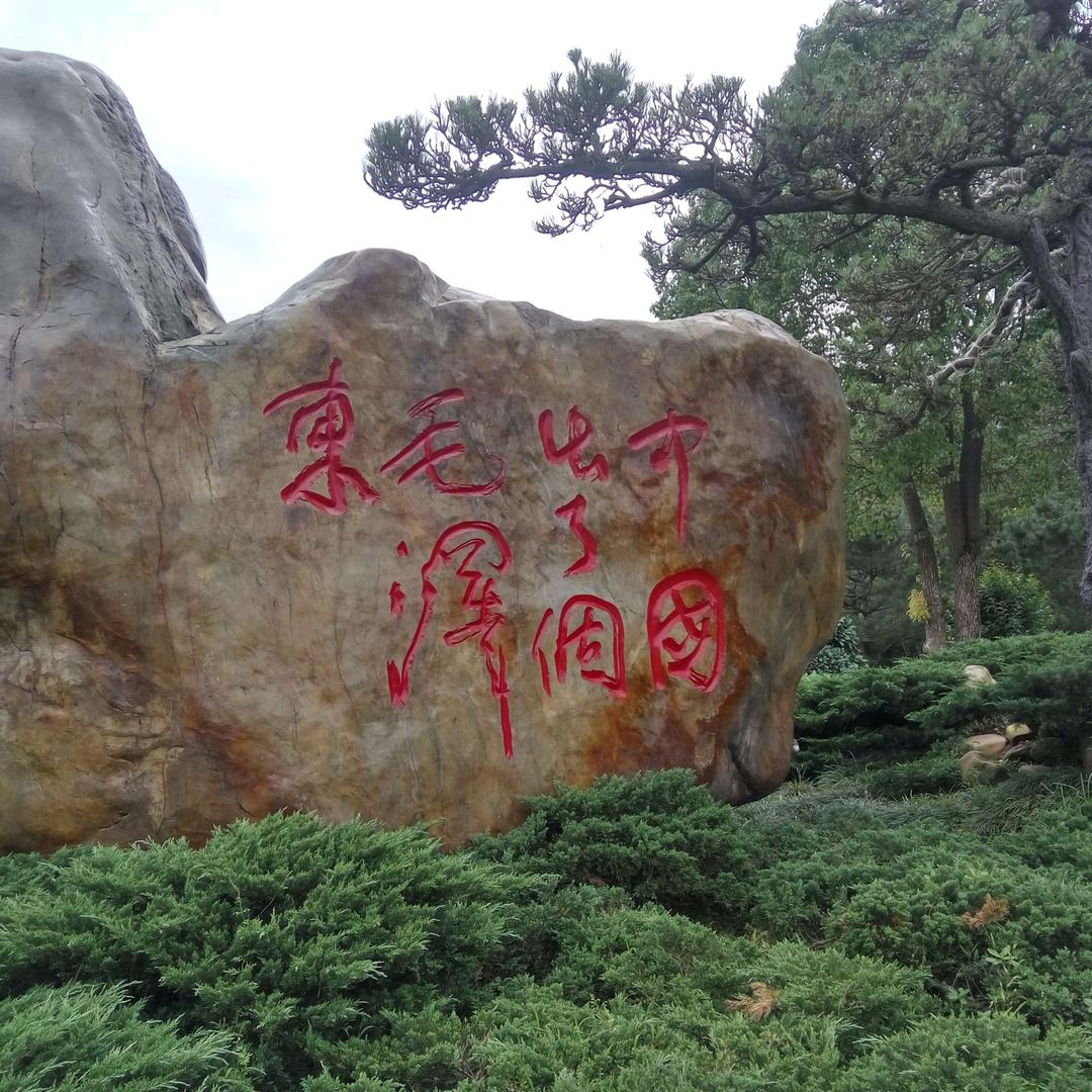 强哥的幸福生活