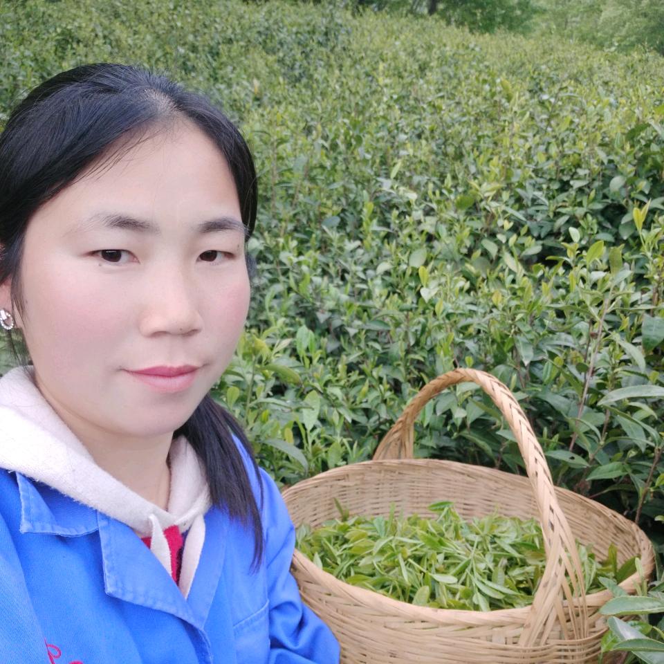 何家黄牛肉