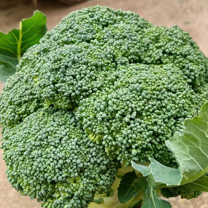 蔬菜代办