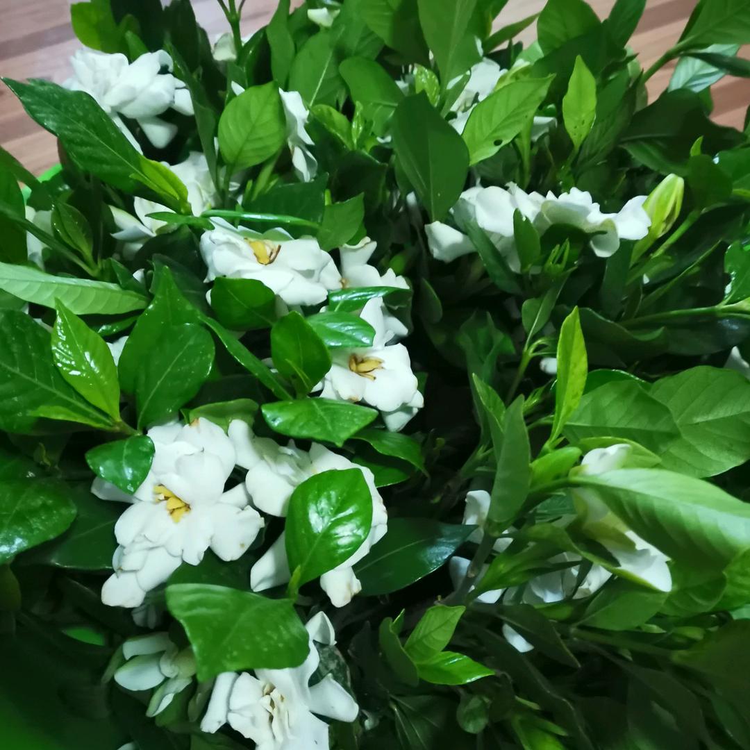 农村林姐好物分享