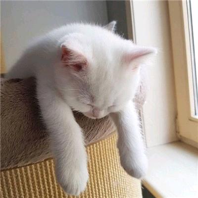 跟着心走丶