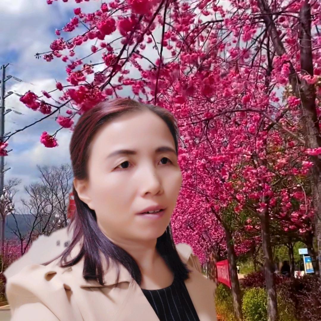 秀出精彩