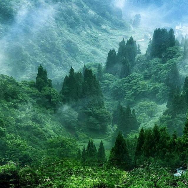 天山七剑