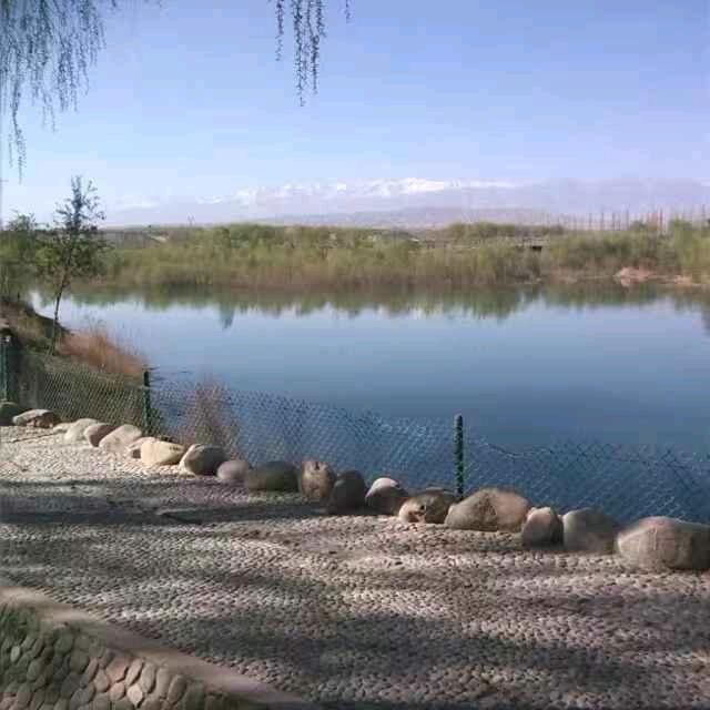 杨春三月