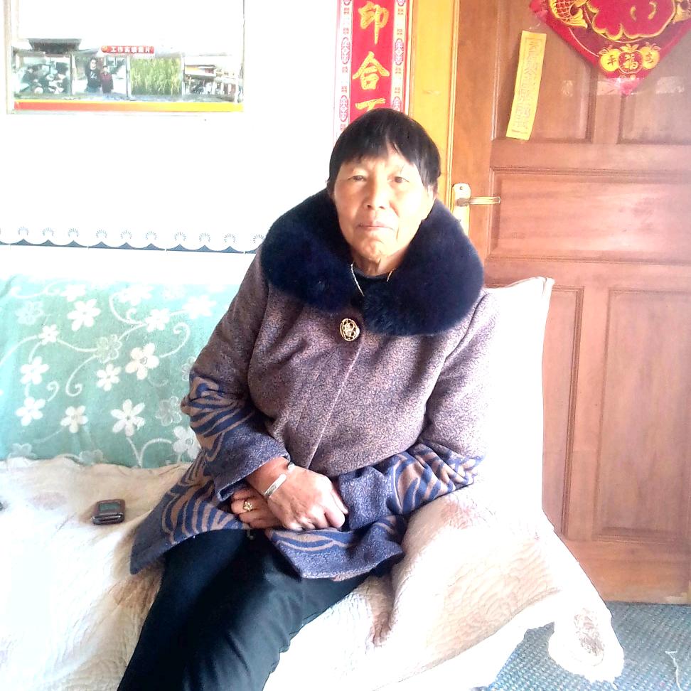 董存芝