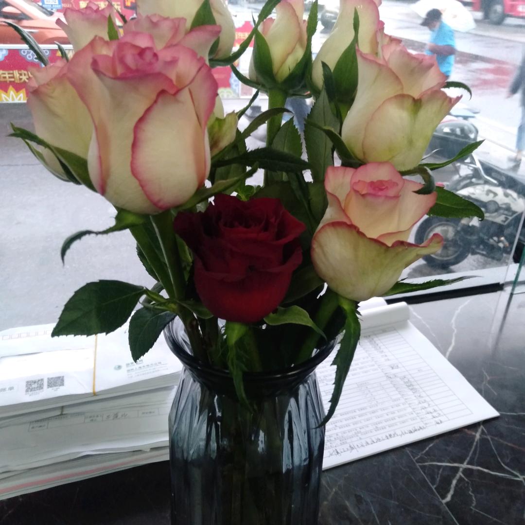 早起的鸟，有虫吃