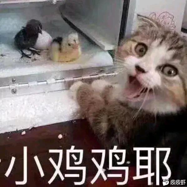 杨丑丑