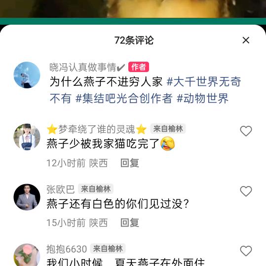 风华少年