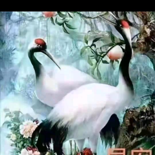人生路
