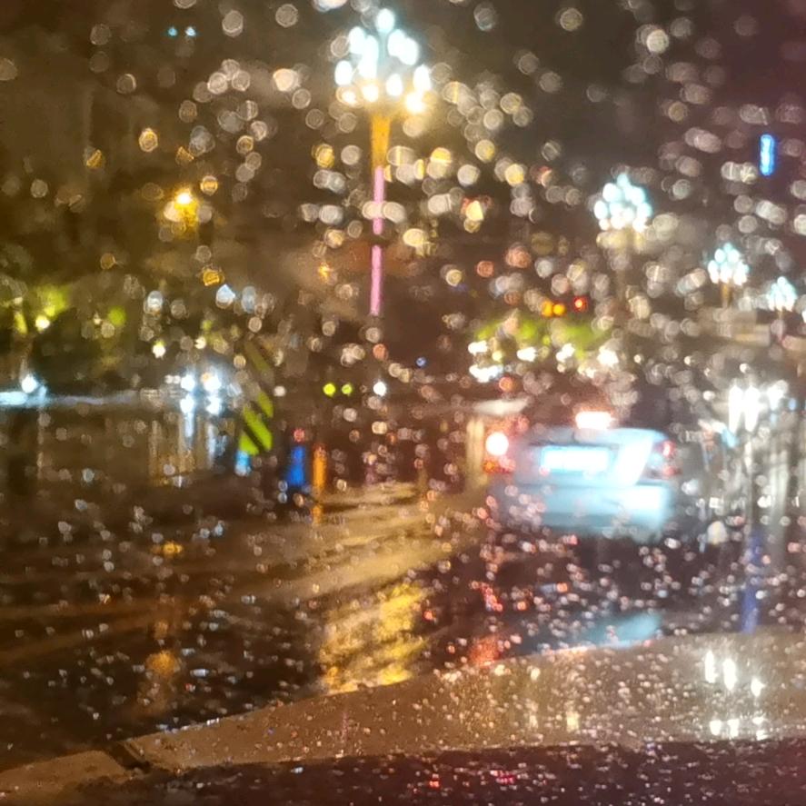 西昌种鸡枞的涂、涂