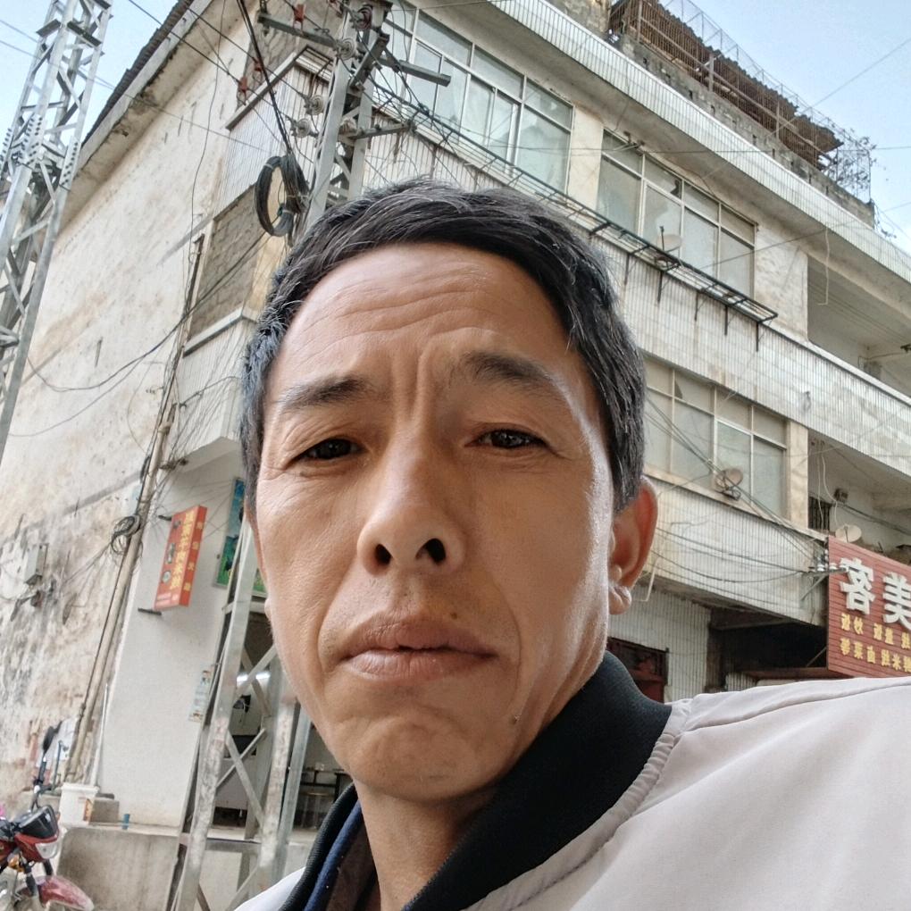 毛毛虫