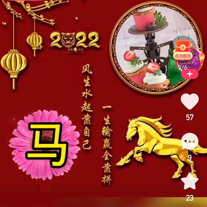 智者