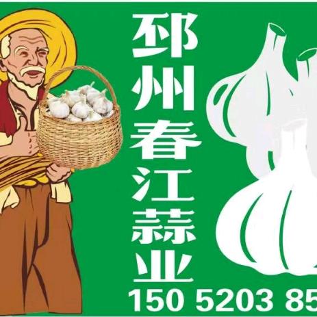 邳州春江蒜业