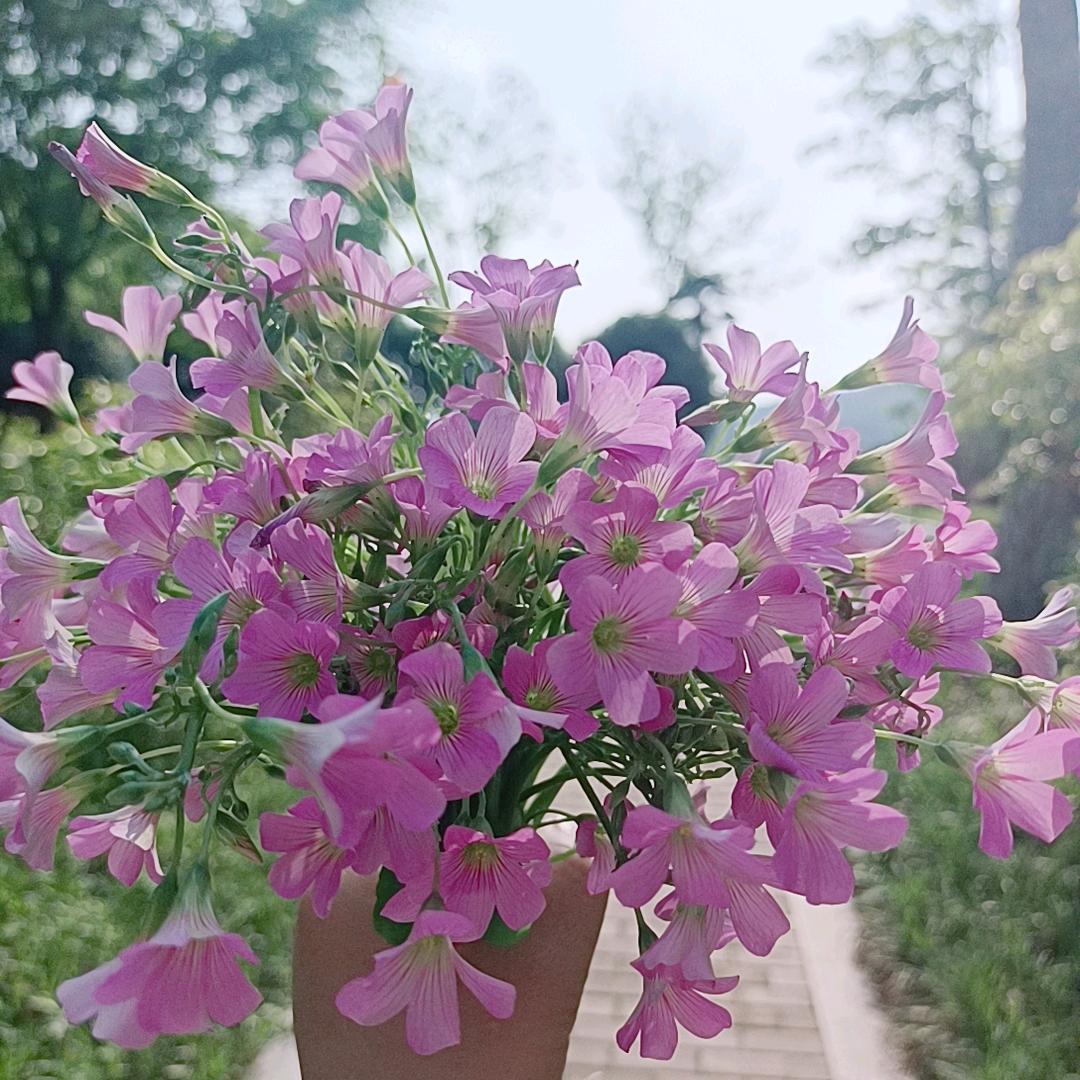 名顺汽贸小欧