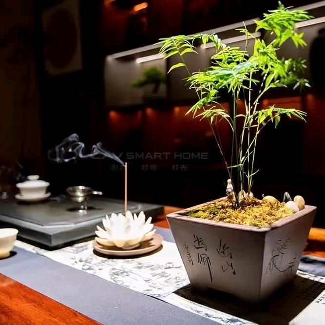 一生随缘