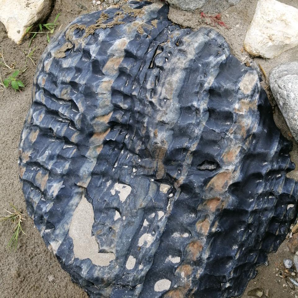 缘定今生