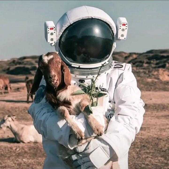 瞳孔里旳小太阳ら