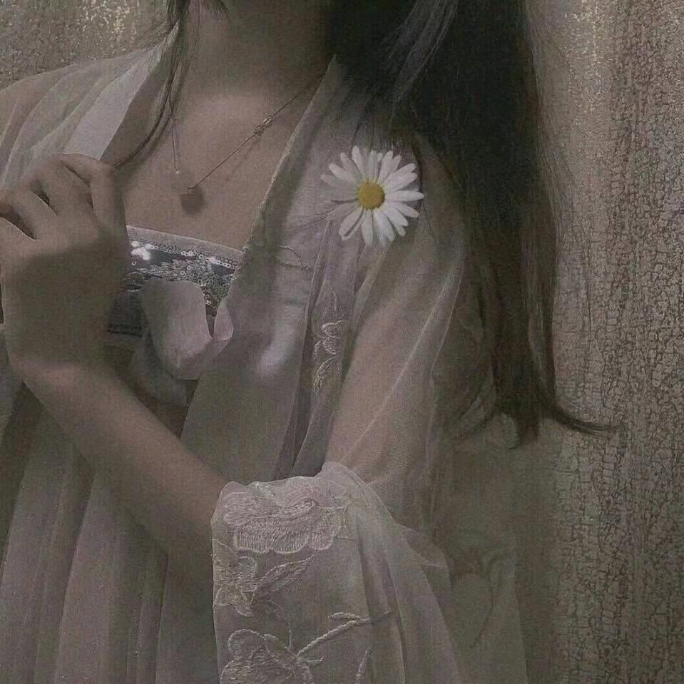 微风美学