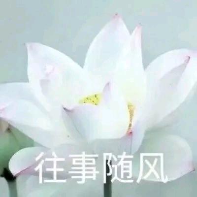 长传久恒