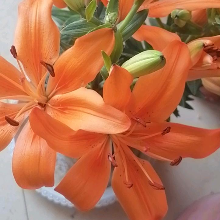 身心疲惫，谁能体会，（拒私聊）