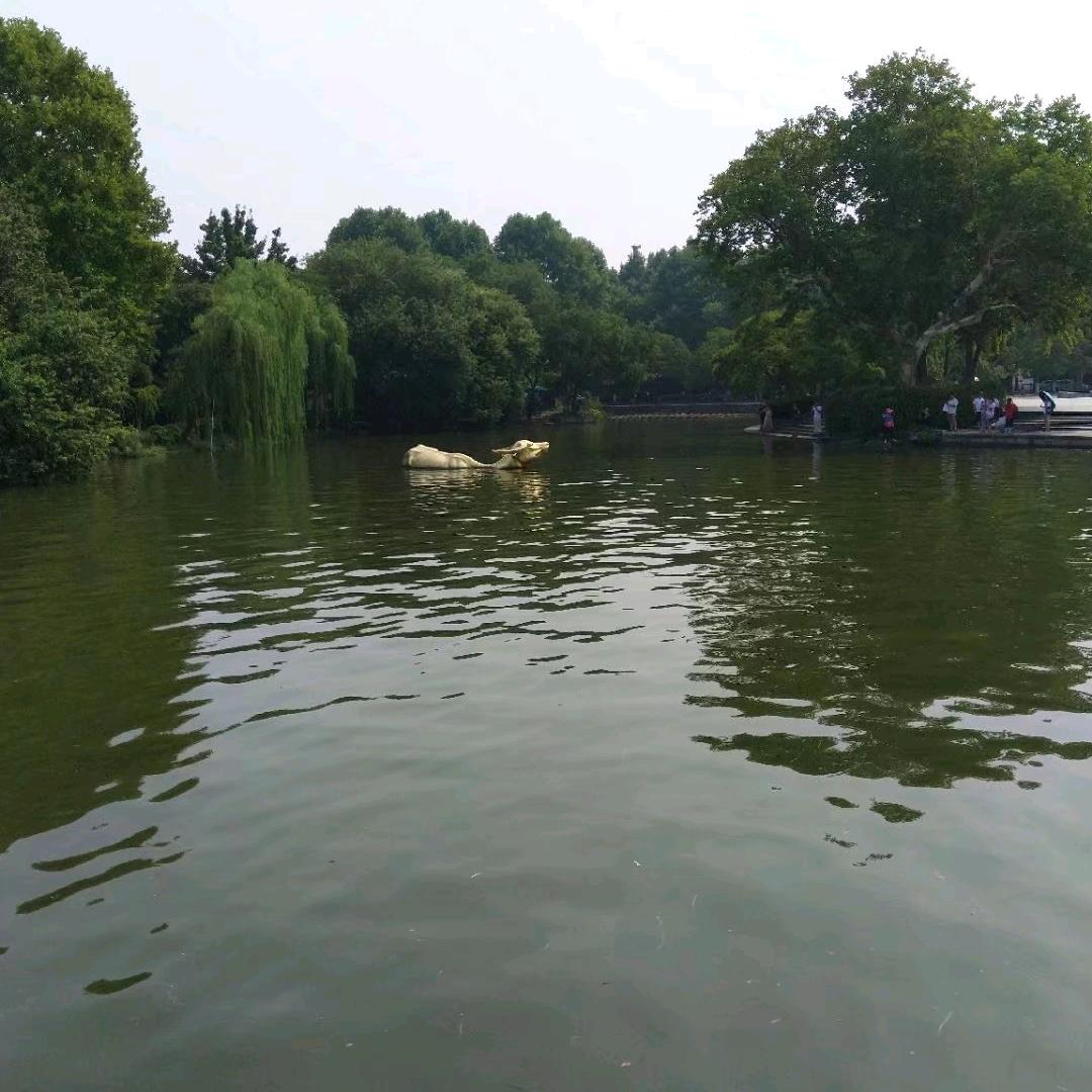 毛豆炒肉