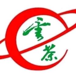 云茶普洱茶