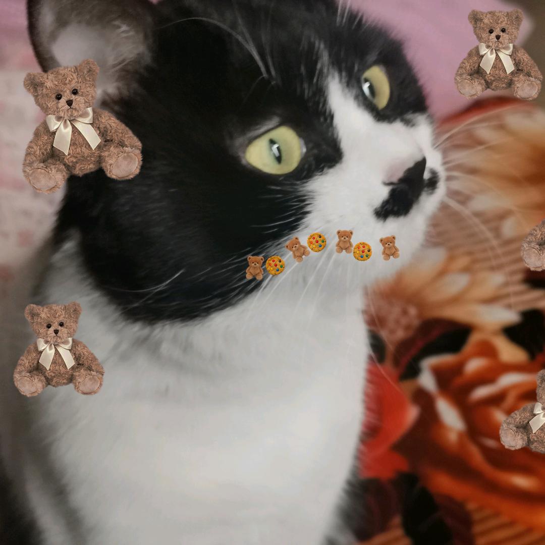 既往不咎