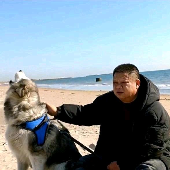 先生之风
