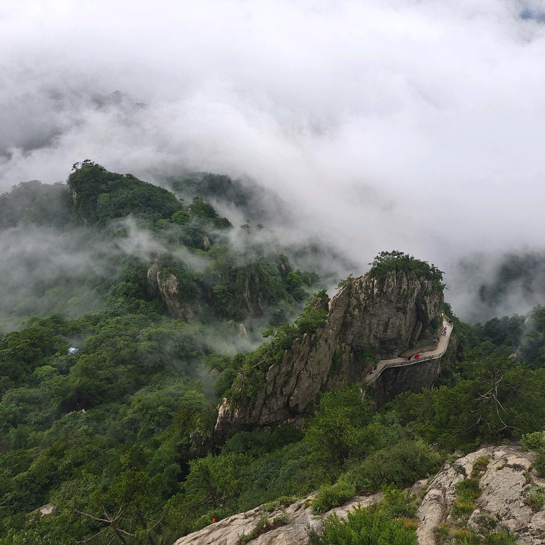 中岳晨星