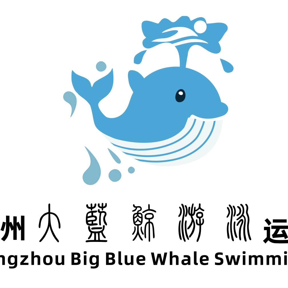 大蓝鲸游泳