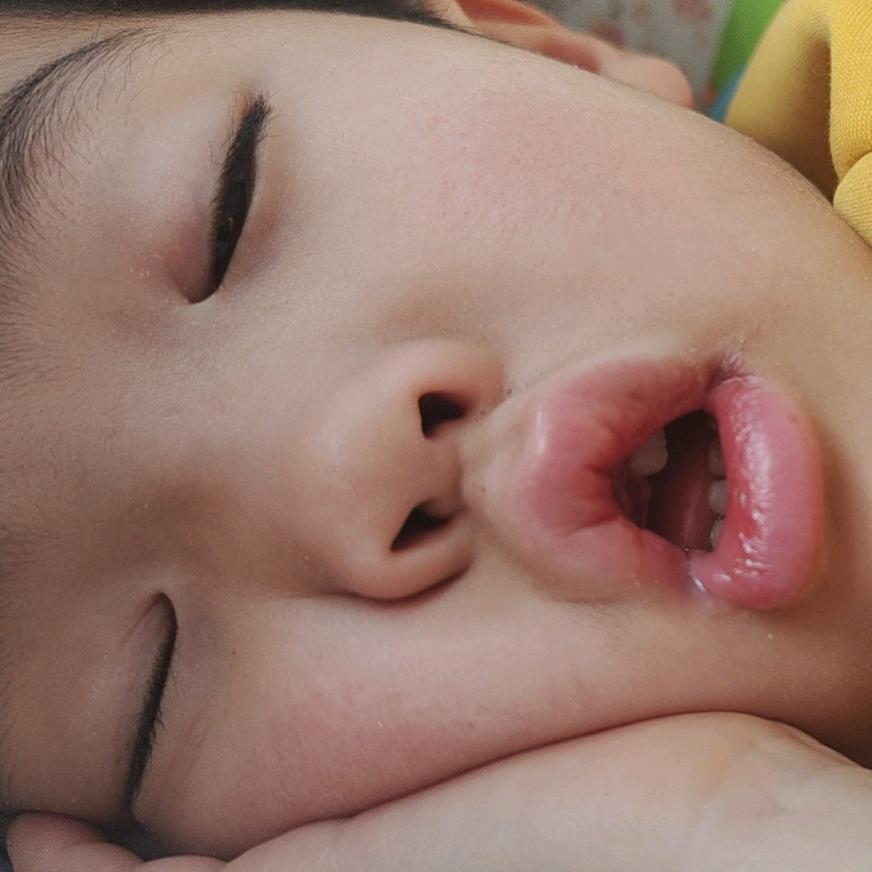 半夏