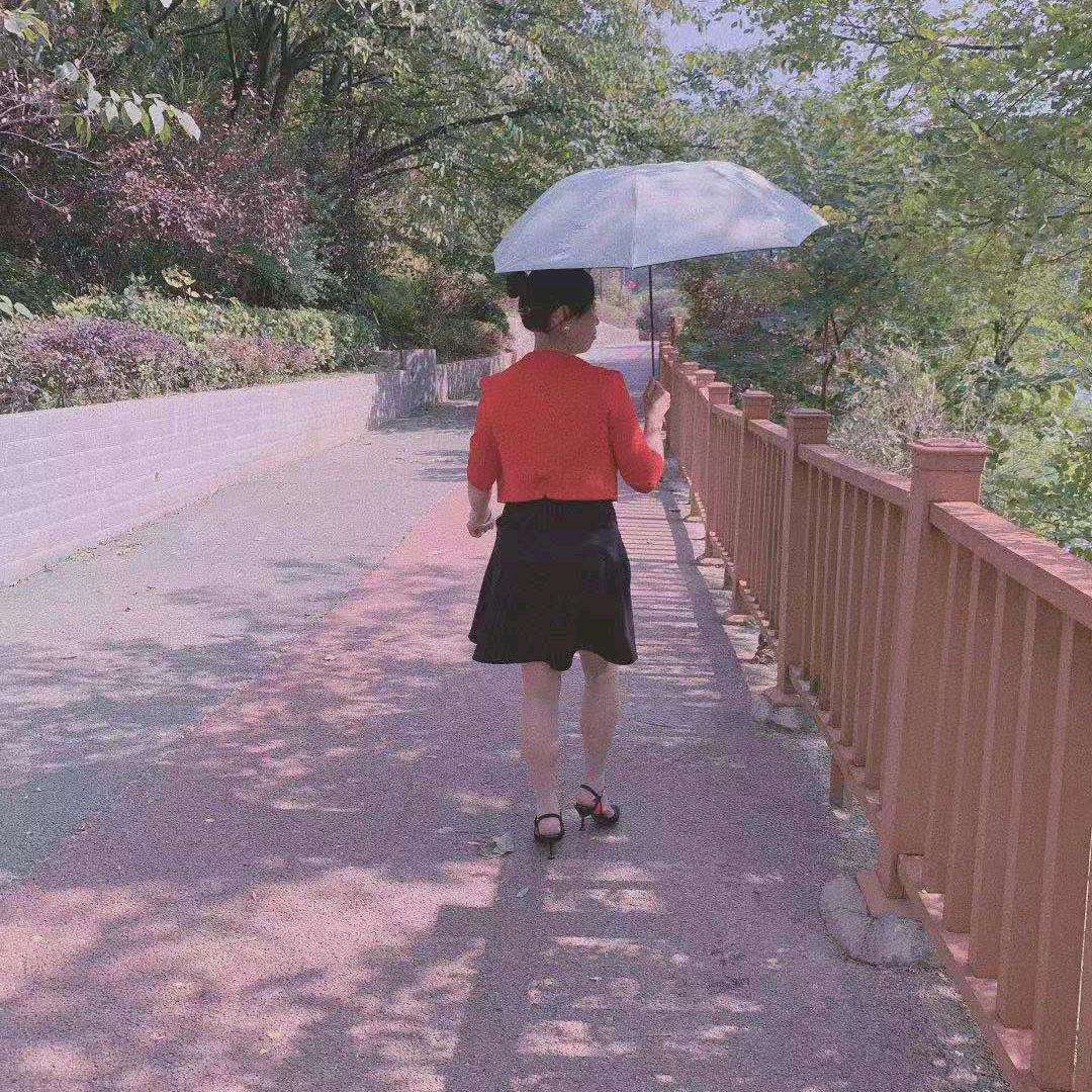 张琴