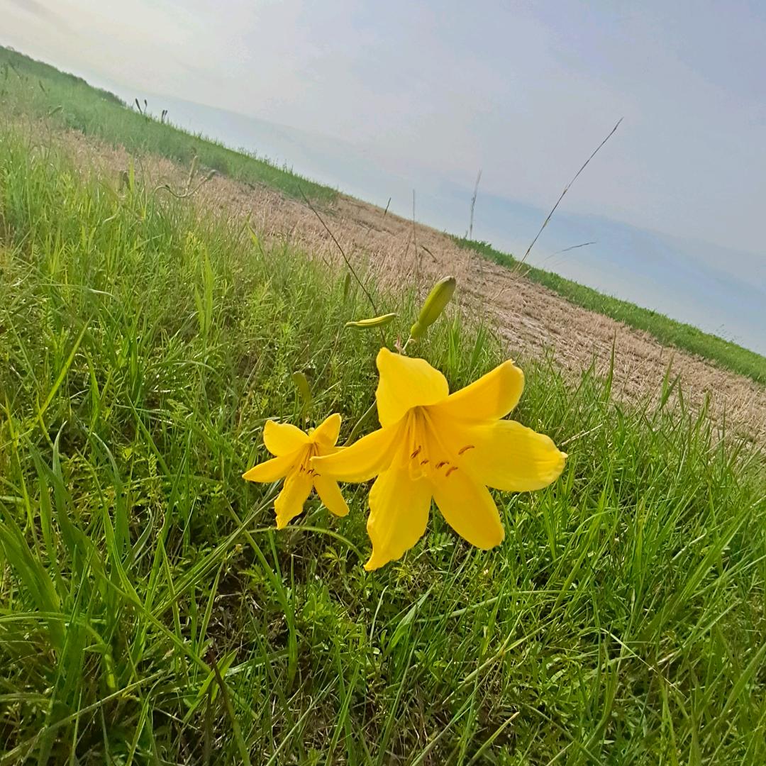 宋温暖※