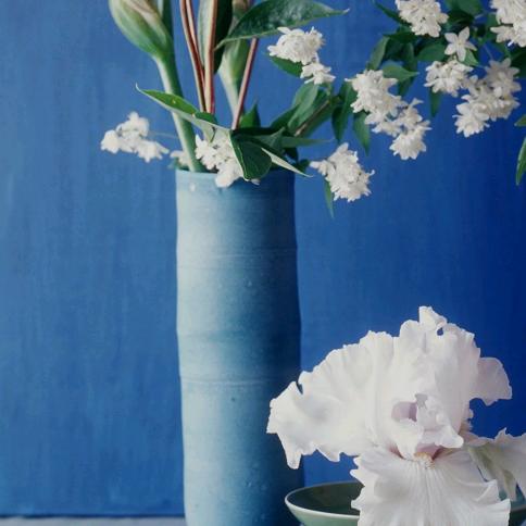 用户7846195613516蓝天